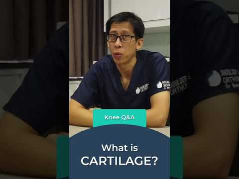 Is cartilage rubbery and bone is firm?