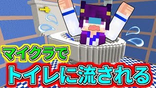 【Minecraft】まさかのマイクラでトイレに流される！？マインクラフトには超危険なトイレがあった！！【ゆっくり実況】【マインクラフトmod紹介】