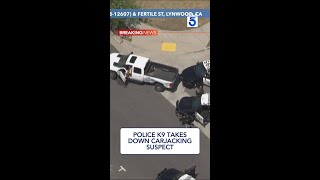 #BREAKINGNEWS: K-9 officer takes down carjacking suspect after cross-county SoCal pursuit