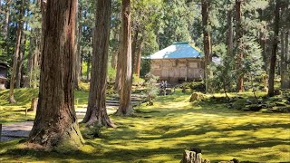 Rent a bike to tour Fukui's lush forests and moss-covered palace