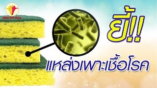 8 สิ่งของใกล้ตัว ที่เป็นแหล่งเพาะเชื้อโรค และวิธีทำความสะอาด | Healthy Full สุขภาพน่ารู้