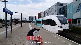 🐧 Arriva GTW Noordelijke Nevenlijnen @ 🇳🇱 Nijmegen - 19 July 2023