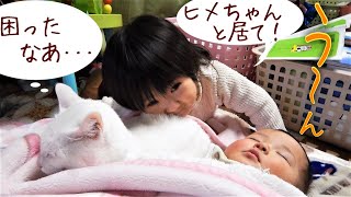 赤ちゃんを看病する猫さん　【猫さんと赤ちゃんはお友達】