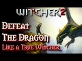 The Witcher 2: How to Defeat the Dragon - COMPLETE Guide