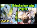 Blue's Reaction Meeting her Baby | Baby Raptor Hatching & Naming One at Jurassic Park