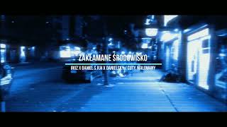 IROZ x Daniel S.R.H x Danielsky - Zakłamane środowisko (cuty.Malowany) #hiphop #music #13partyzantka