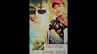 Numitlei || Manipuri Music Video || Remake || Not Official