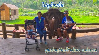 พาเด็ก ๆ ไปดูช้าง ที่ศูนย์อนุรักษ์ช้างไทย จังหวัดลำปาง