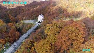 空撮　2021　10/28　山形県　月山花笠ライン紅葉　R112号