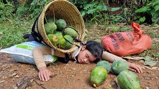 FULL VIDEO: 230 Days of Harvest Long Beans, Papaya, Peanuts, Sugarcane, Gourds to Sell at the Market