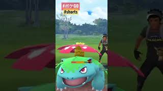 【#shorts 】スーパーリーグ挑戦の記録💥🤛 #ポケモンgo