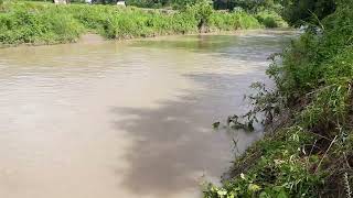 Iril River li khainao around 5 to 6 Lakhs chihosang haira. July 2022 @ Tora