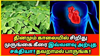 தினமும் சிறிது முருங்கை கீரை இவ்வளவு அற்புத சக்தியா ! Drumstick leaves | Health tips | Ayurveda