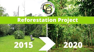 Reforestation Project at Toucan Rescue Ranch