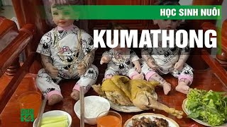 Học sinh nuôi búp bê kumanthong cầu may, học giỏi | VTC14