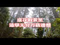 心里的观音~粤语善歌