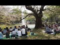 お花見散歩　代々木公園　2023 4 1 72