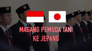 [Filler] Magang Pemuda Tani Ke Jepang  Versi 2022