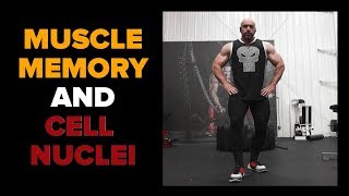How Muscle Memory Works: Addition of Cell Nuclei