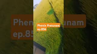 Phenix Pratunam ep.856