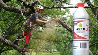 Pro Arborist Beau Nagan: Aspen Fuel Testimonial