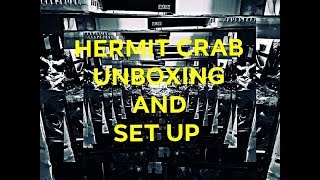 HERMIT CRAB UNBOXING AND SET UP