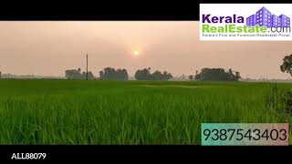 44 Cents of Residential plot for sale at Kuttanad, Alappuzha ALL88079