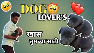 DOG LOVER'S  तुमच्या साठी  आहे...🐕😅 || YD GANG VLOGS 📸