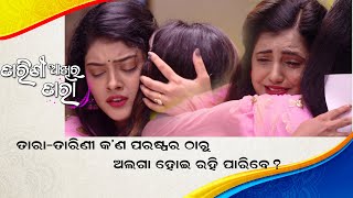 Tarini Akhira Tara | ତାରା-ତାରିଣୀ  | Best Scene | TarangTV