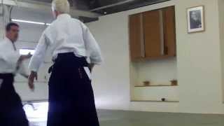 David Halprin Shihan : Katadori Uchikaiten-nikkyo Aikido