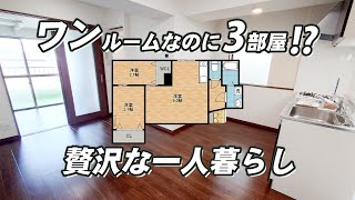 【珍物件】レアな2SLDK！贅沢な一人暮らしのお部屋でお家賃以上のお得感！【物件紹介】#賃貸 #賃貸暮らし #賃貸物件 #はちのこ不動産