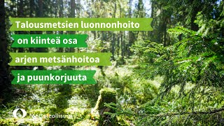 Talousmetsien luonnonhoito on kiinteä osa arjen metsänhoitoa ja puunkorjuuta