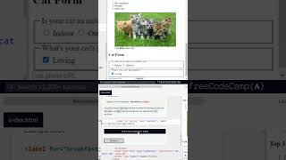 HTML 5 For attribute using with with label #tutorial #html #freecodecamp #freecoding