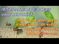 bible massage life of ant 🐜 चींटी के जीवन से शिक्षा।