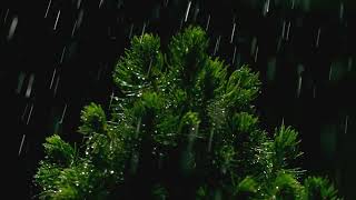 Gentle rain sound good for deep sleep, insomnia solved within 10 minutes, white noise lullaby