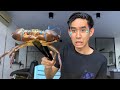 UNBOXING KETAM HIDUP 🦀 MAIN DAN MASAK KETAM NIPAH 😂