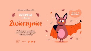 ZWIERZYNIEC: ODC 11 - NIETOPERZ