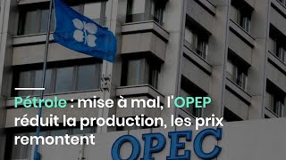 Pétrole : mise à mal, l'OPEP réduit la production, les prix remontent