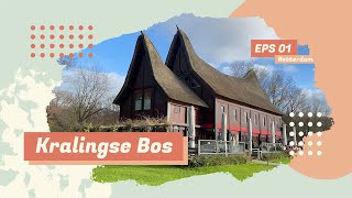 Kralingse Bos walking tour in Rotterdam - 4k (60fps)