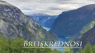 Breiskrednosi