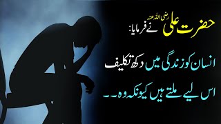 Best Hazrat Ali Quotes in Urdu - Hazrat Ali Ke Aqwal e Zareen - Heart Touching Quotes In Urdu