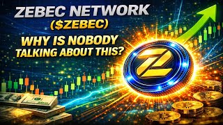 ZEBEC NETWORK ($ZEBEC) WHY IS NOBODY TALKING ABOUT THIS?