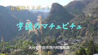 紅葉狩りスポット 宇佐のマチュピチュ