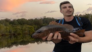 Mangrove Jack Mission No.2 | Tweed Heads