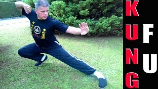 WING CHUN TECHNIQUES #KungFu  aula 04