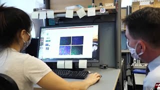 Researchers develop artificial kidney to replace dialysis