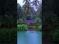 rainy day kerala nostalgia gramam rain