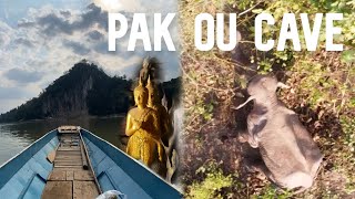 LUANG PRABANG PAK OU CAVE AND SPOTTING WILD ELEPHANTS | LAOS 🇱🇦