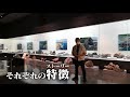 博物館特別展「岩石－石ころから見える地球のダイナミズム―」　cm4