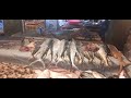 amazing fish in madurai fish market madurai street food